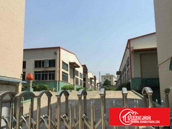 万江独门独院单一层1400方高度8米空地大有办公室宿舍配套