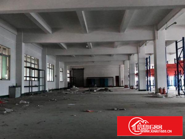 万江标准5米一楼1500平方急租(现成办公室)