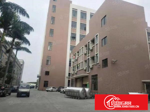 大岭山独栋3500平方厂房出租，价格低带牛角消防喷淋可分租