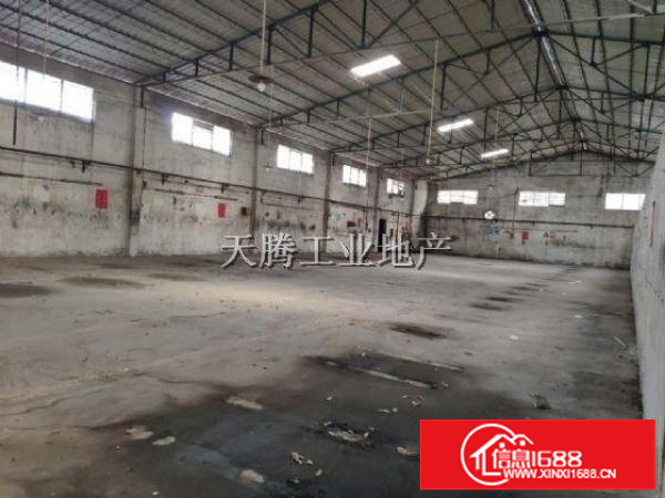 方正实用星棚结构首层带有空地容桂高黎工业区厂房出租