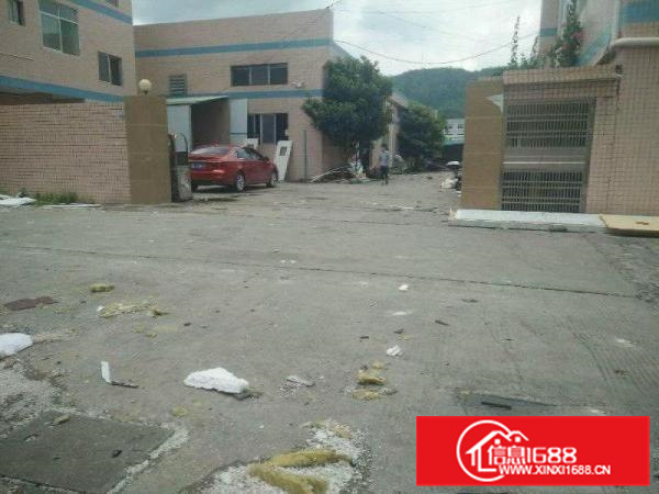 原房东独门独院厂房3000平方