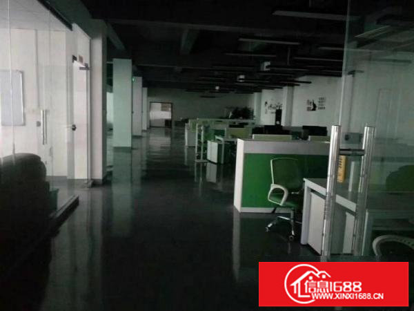 租15龙西空出原房东整层3000单层1000实际面积带装修