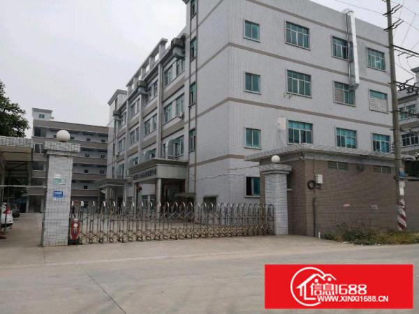 横沥镇东部快线出口原房东独院楼房厂房6500平米