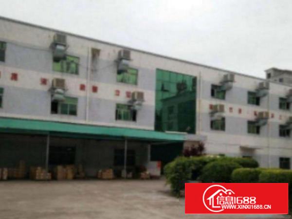 万江标准厂房分租一楼800平方招租消防过关.有地坪漆