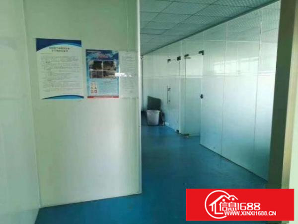 精装修免转让费水电齐全拎包生产