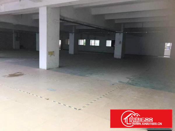 价钱低兴东地铁站附近71区留仙路厂房招租！！