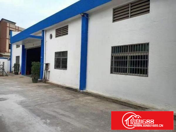 大朗松木山新出独院厂房1200平滴水7米现成办公室装修