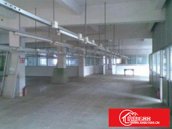 东莞常平土塘村标准厂房5000平方出租