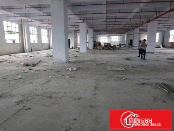 机不可失各位老板们抓紧时间