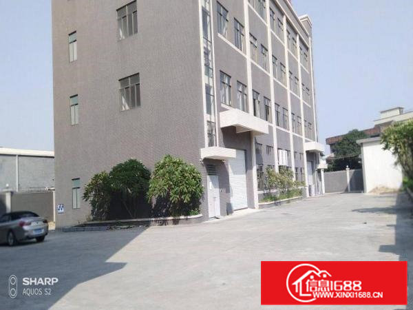 石排独门独院2000平方厂房形象好