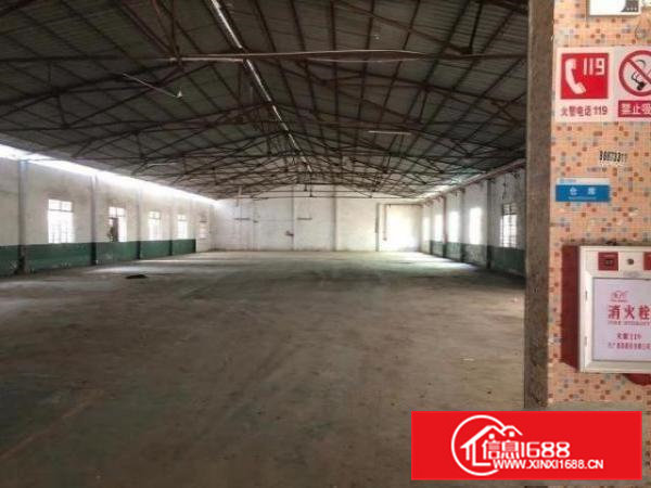 高埗冼沙原房东单一层铁皮房1300平无公摊