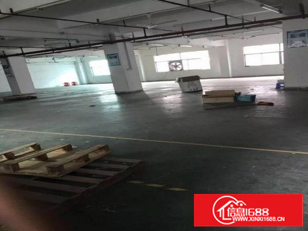 塘厦新出带精装修2楼厂房703平方火热招租