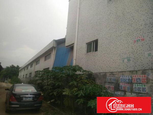 惠阳秋长白石新出独院钢构厂房2200平米招租