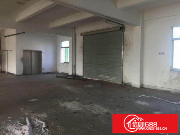 深圳龙岗新生新出楼上厂房