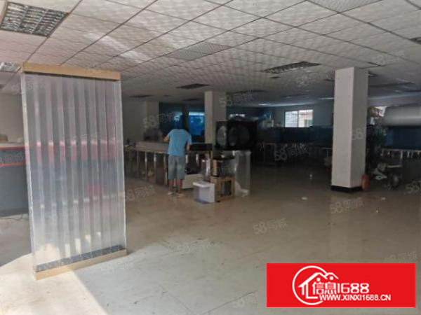 万江水蛇涌泰新路附近标准厂房分租1楼450平方