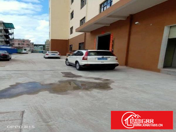 樟木头镇原房东全新厂房实际面积9000平方出租可分层租