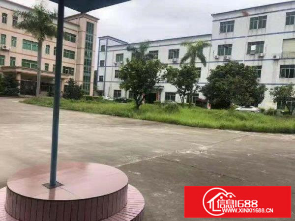 新生新出原房东独院厂房4600平出租面积实量可分租