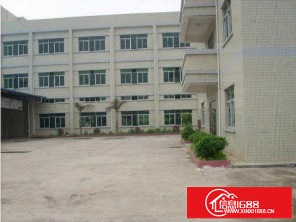 常平塘角新出厂房总面积2980平方