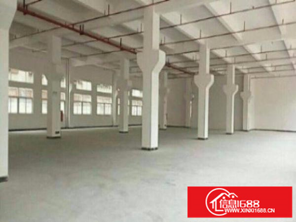 平湖白泥坑精品独院厂房3100平出租.空地大形象好.带牛角