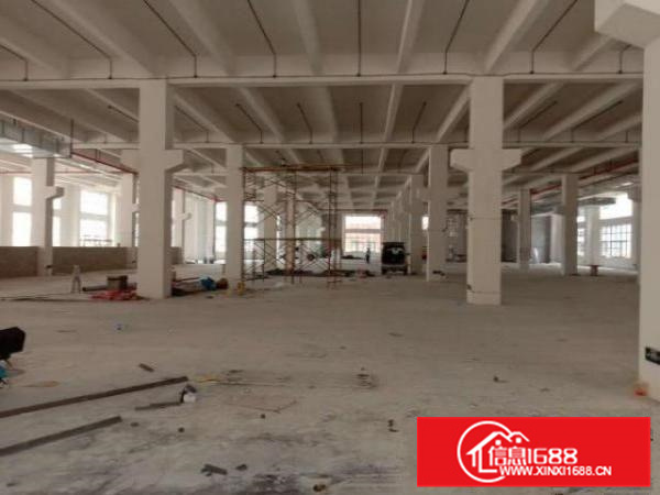 可分租有牛角位,杏坛镇全新独院15000方标准厂房