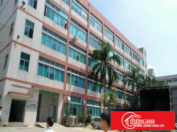 龙岗宝龙新出原房东厂房1100平米带精装修可分租