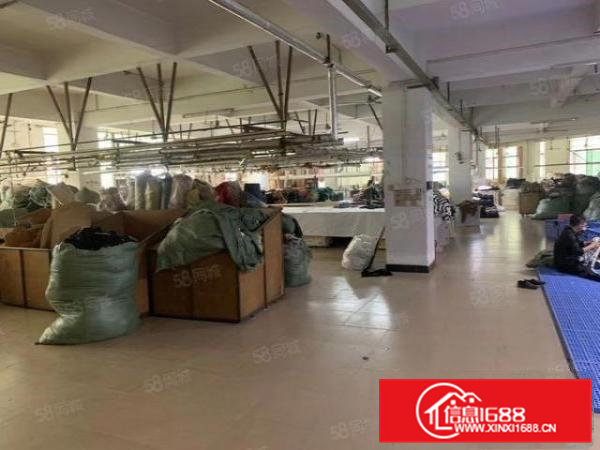 工业用地，大朗新出独院标准厂房6000平，现成装修，可分租