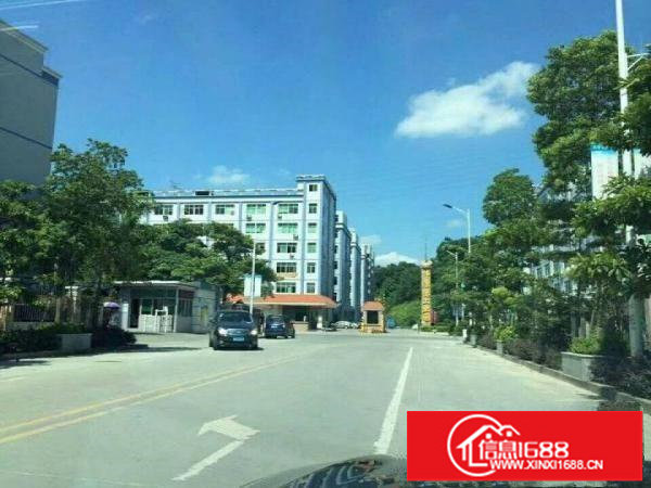 坂田上雪科技园三楼整层1280平