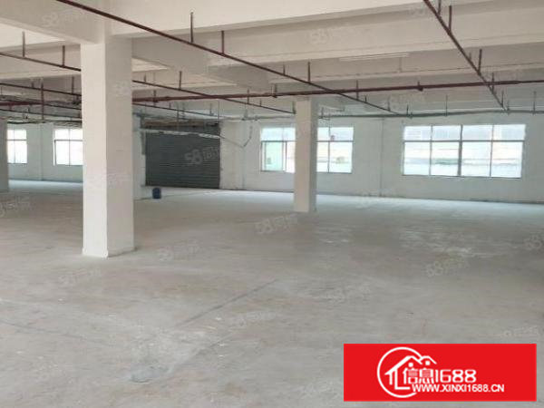 大朗原房东独门独院11000平招租,工业用地,可办环评!