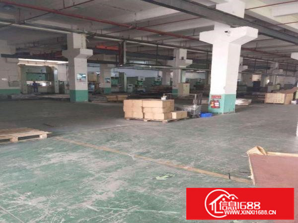 标准一楼6.5米带牛角红本厂房形象好坑梓龙田