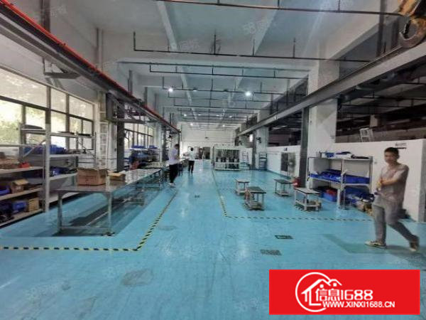 虎门镇南栅新出一楼1450平米，精装修厂房出租可谈可订