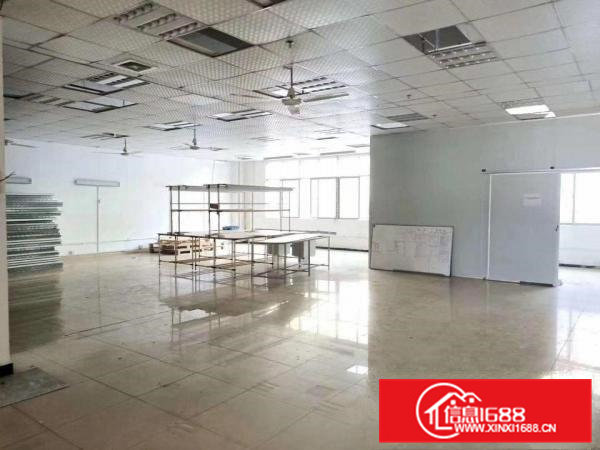 全面翻新凤岗油甘埔小独院厂房出租2500平方