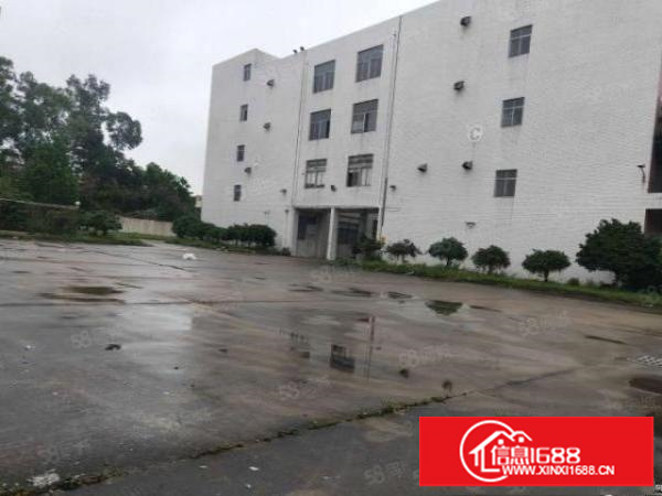 坪山一楼1000平厂房出租空地大合同长可装峰谷平大小分租