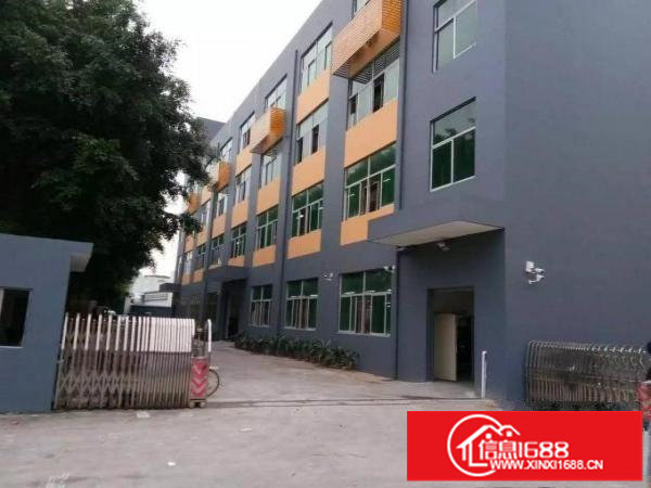 观澜松元原房东无公摊1楼标准厂房1000平米出租