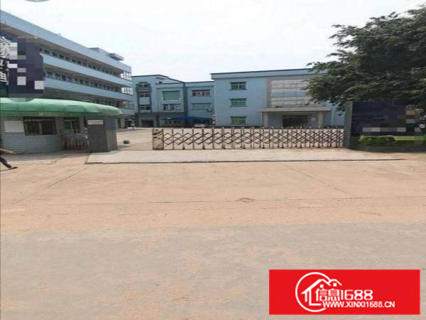 大朗镇松柏朗村新出花园式独院6500