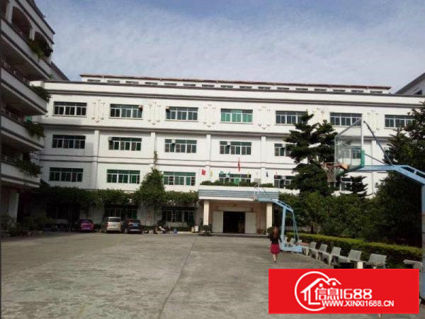 常平新出分租三楼全车间地坪漆厂房2500平方