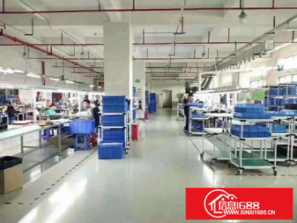 大浪原房东花园式厂房单层1680平方米出租