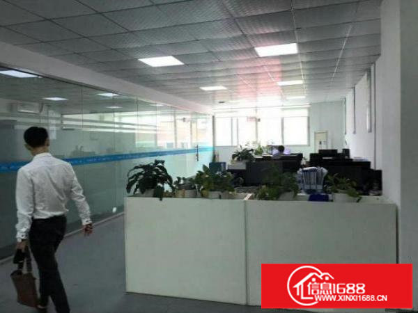 龙华大浪新出180平米220平米260平米带装修出租