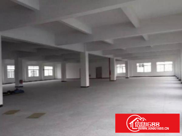 万江周边1出租5001500、2000平方出租