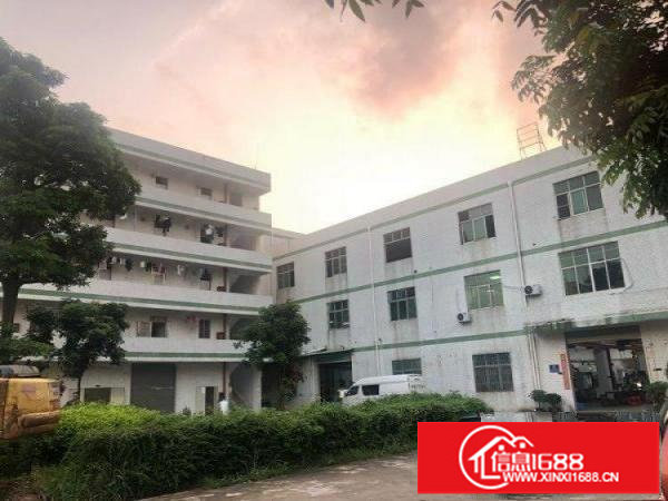 平湖新木路56号厂房1150平米