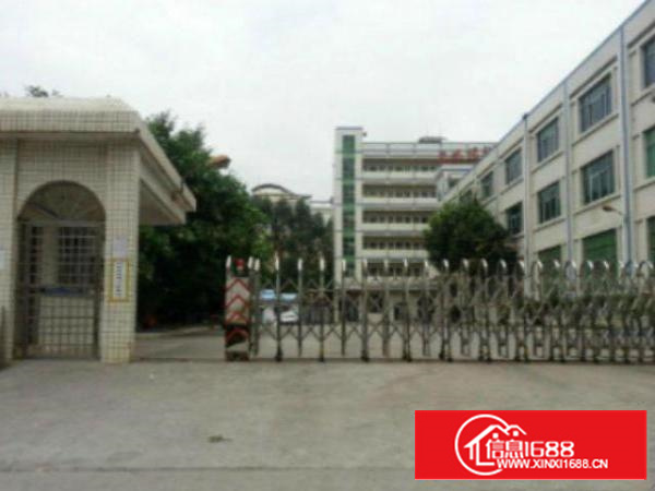 万江独院标准厂房1-3层6500平方出租