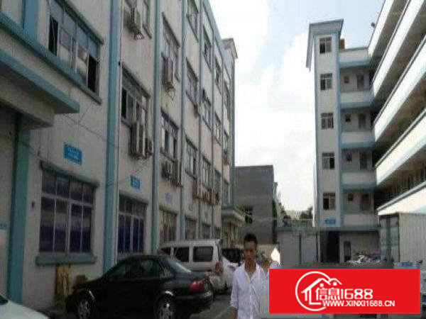 常平上坑空出独院标准厂房楼上2800平方招租