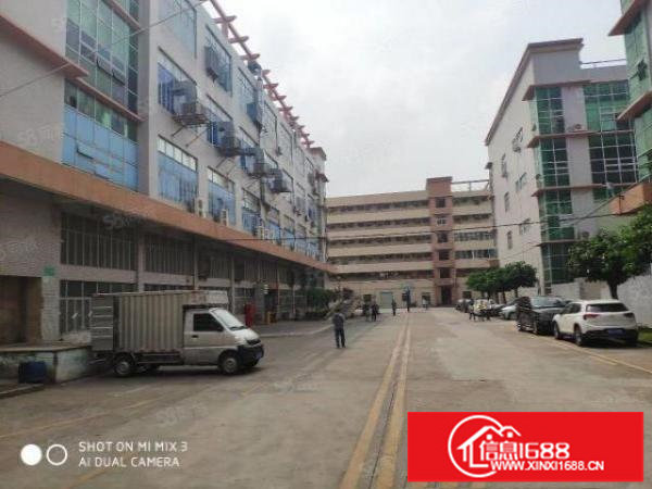 松岗大田洋3楼精装修1200平方独门独院原房东