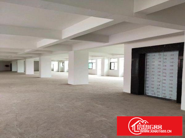 原房东新出小型独院厂房