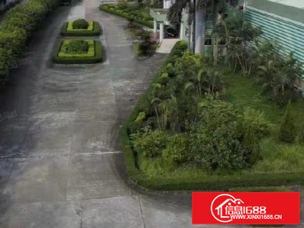 常平镇19000平方单一层花园式独院厂房出租