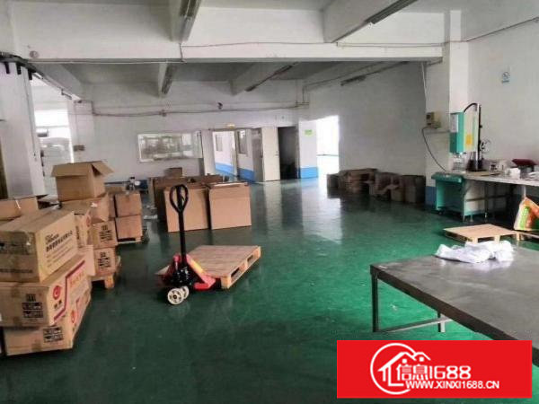 龙岗南联主干道旁一楼二楼带装修各800平厂房100