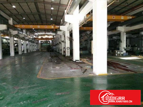 塘厦新出滴水11米高钢构带喷淋，带装修行车免费用