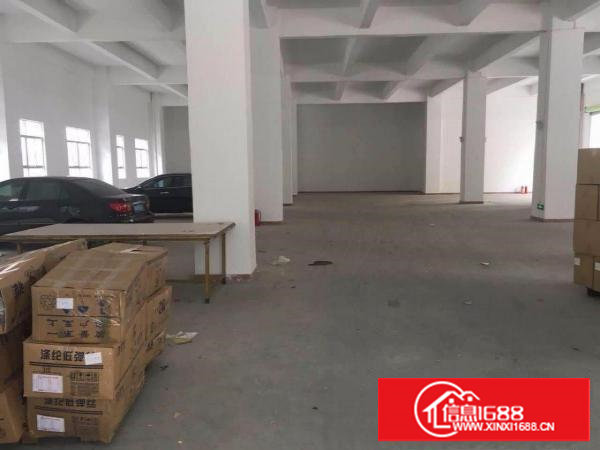 6米高！科苑城近大坪高速800平方米标准一楼厂房出租