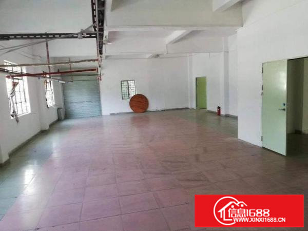 袁山贝新出厂房800平方