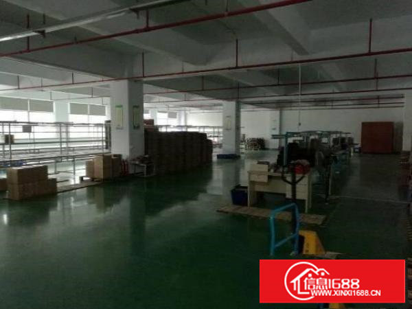 高端豪华装修3300平方中央空调办公设施一应俱全