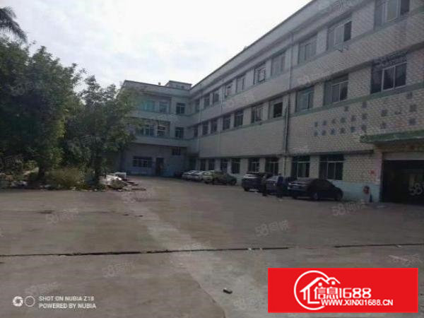 雁田布心带装修厂房低价出租